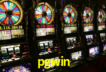Interface Premium pgwin